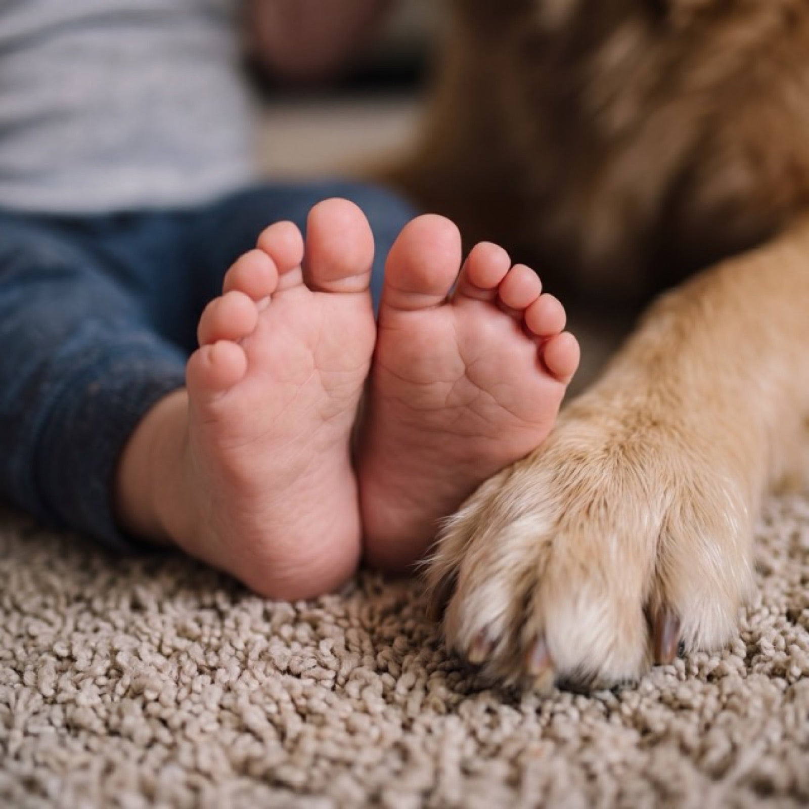 A toddler and a dog together on the floor