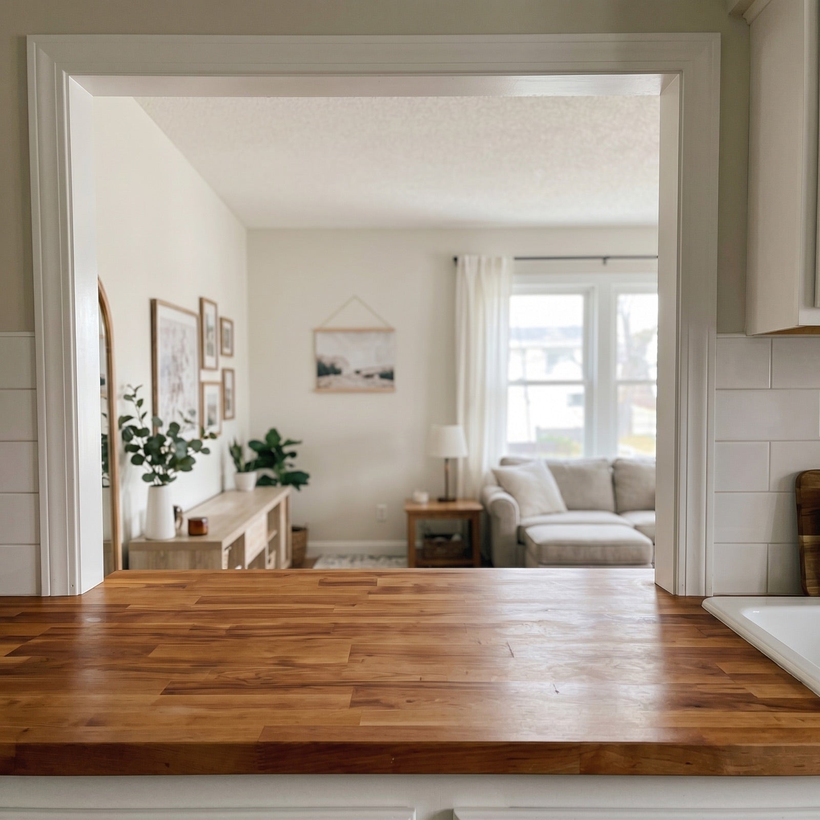 A bright, fresh, odor-free living room